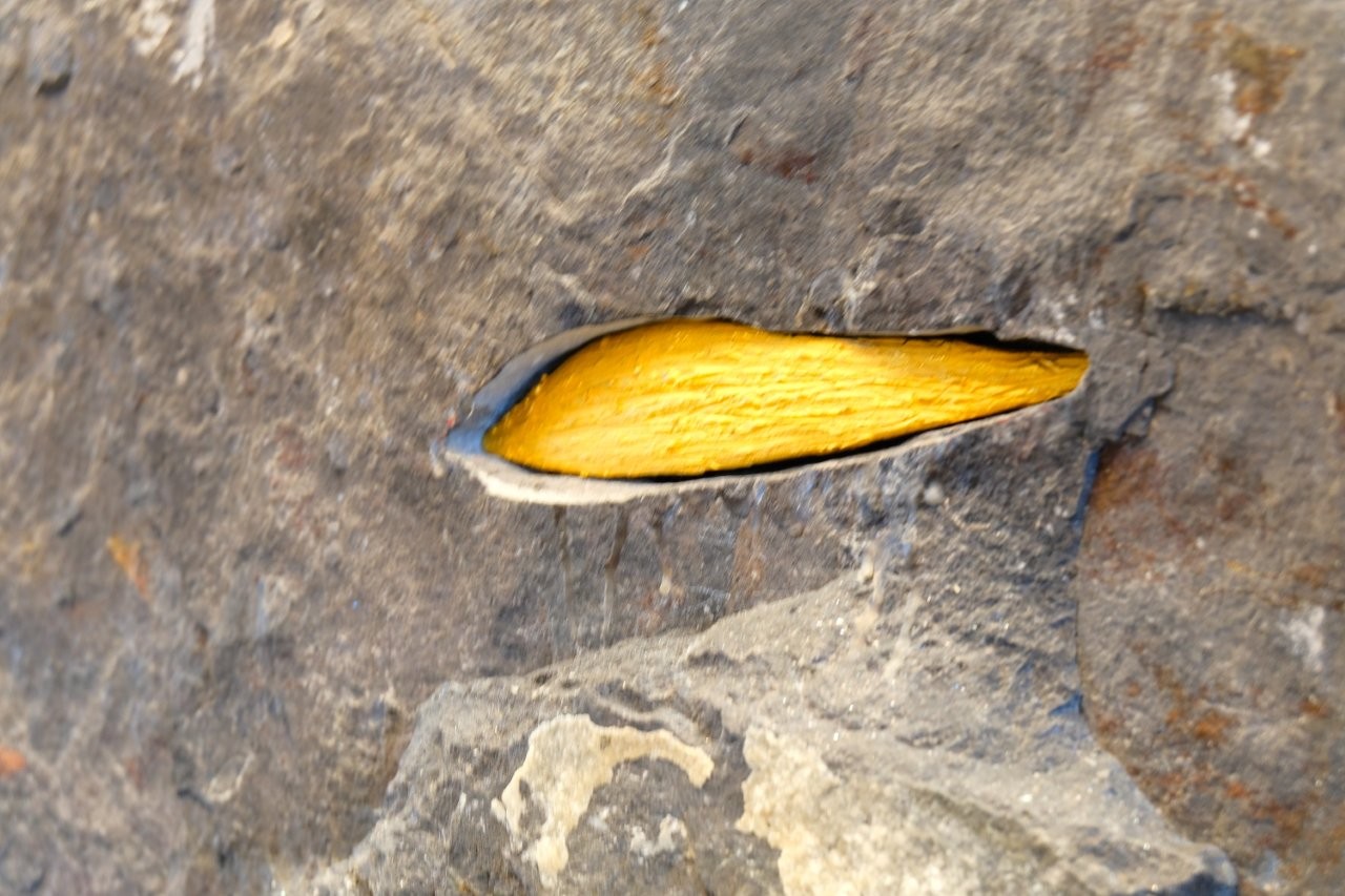 Mons-Belgien-verschiedene-Gerätschaften-Altarraum (7) Mons-Belgien, Neuanfertigung versch. Gerätschaften, Wunde